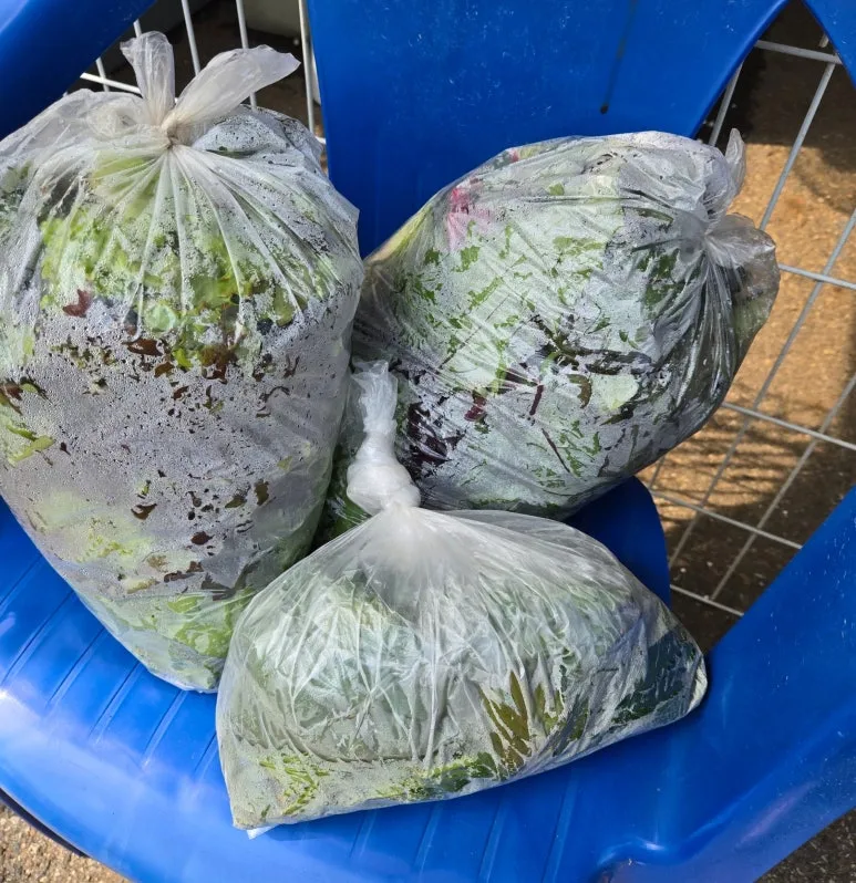 SE-363eea52-7582-463d-805a-7688ae7436c0.jpg?type=w773