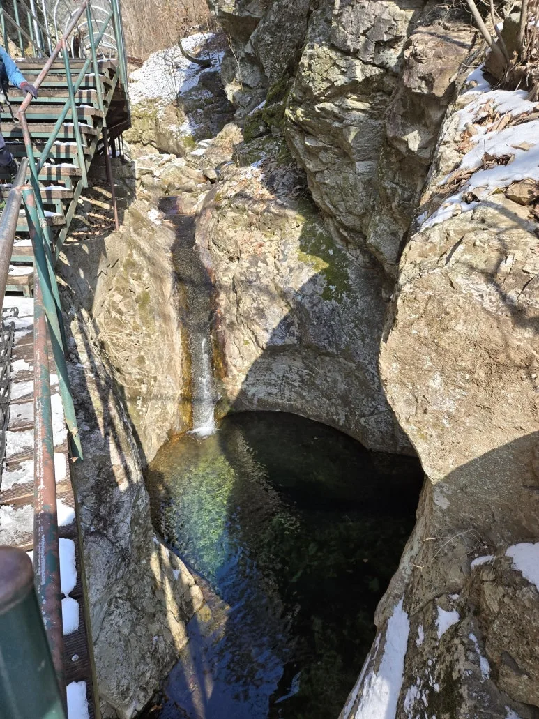 KakaoTalk_20250203_122046559_01.jpg?type=w773