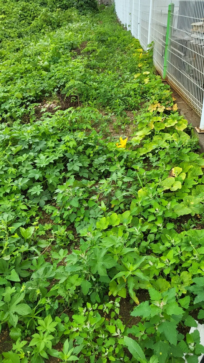 KakaoTalk_20240630_140810350_05.jpg?type=w773