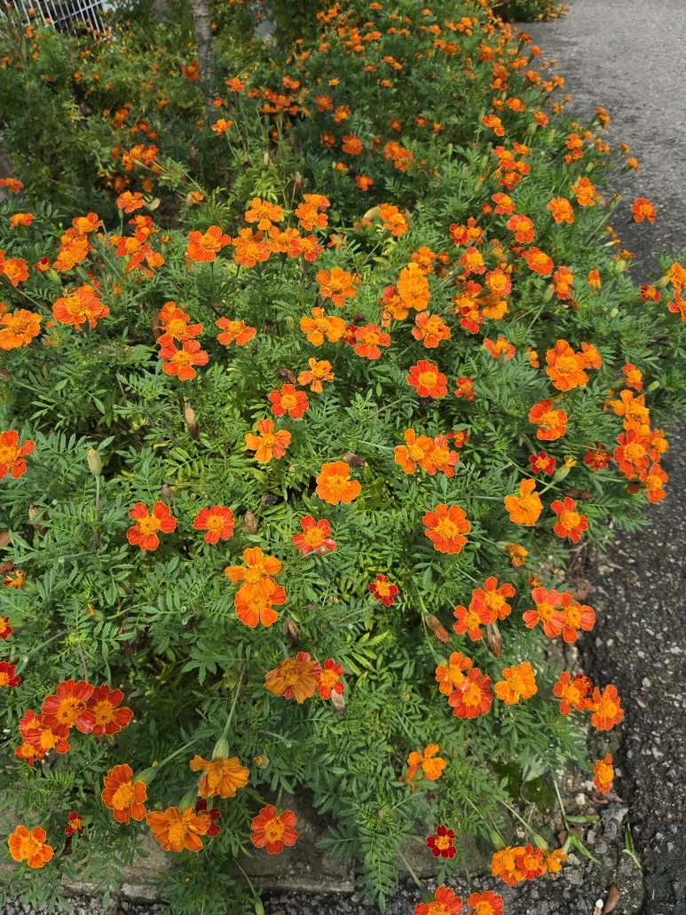 KakaoTalk_20240914_202202766_06.jpg?type=w773