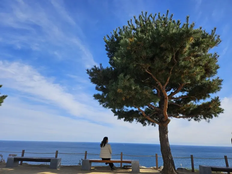 KakaoTalk_20241119_211309052_05.jpg?type=w773