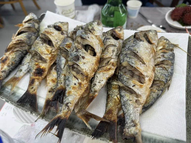 KakaoTalk_20240915_185926892_02.jpg?type=w773