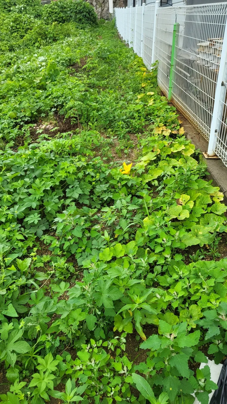 KakaoTalk_20240630_140810350_04.jpg?type=w773