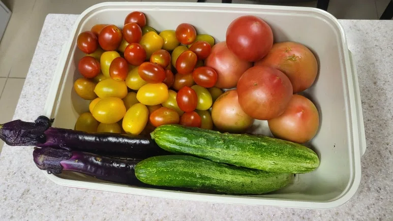 KakaoTalk_20240707_201119593_07.jpg?type=w773