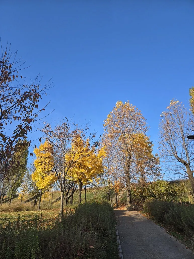 KakaoTalk_20241125_104514647_02.jpg?type=w773