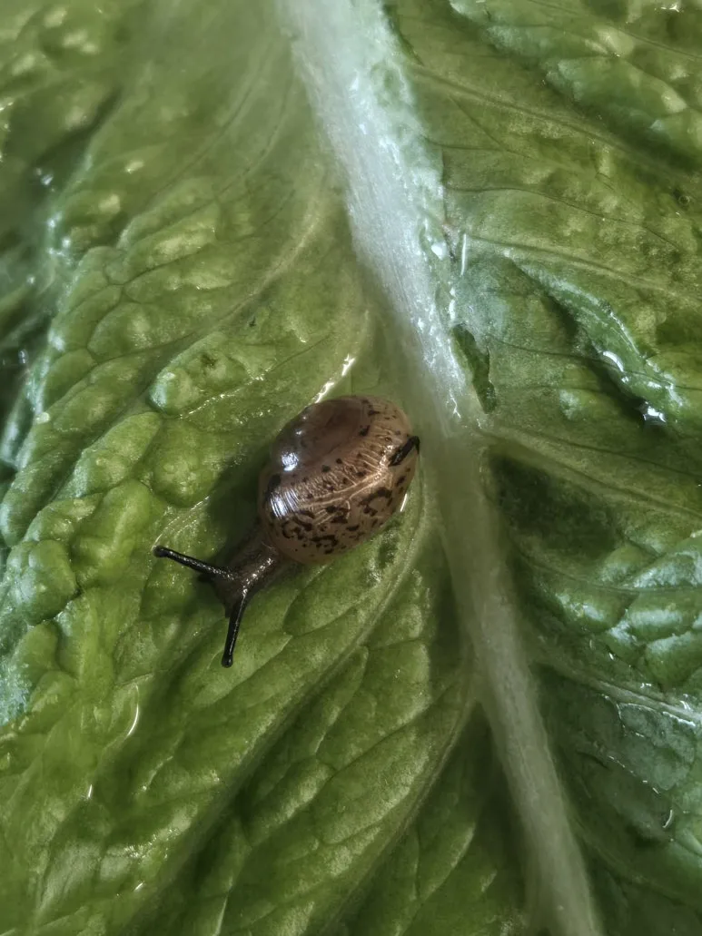 KakaoTalk_20250427_123712835_10.jpg?type=w773