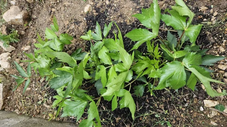 KakaoTalk_20240630_140727185_13.jpg?type=w773