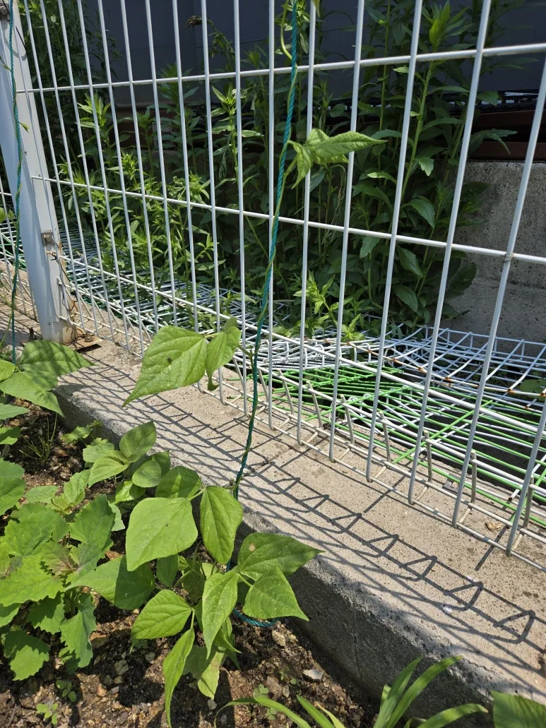 KakaoTalk_20250526_215558562_09.jpg?type=w773