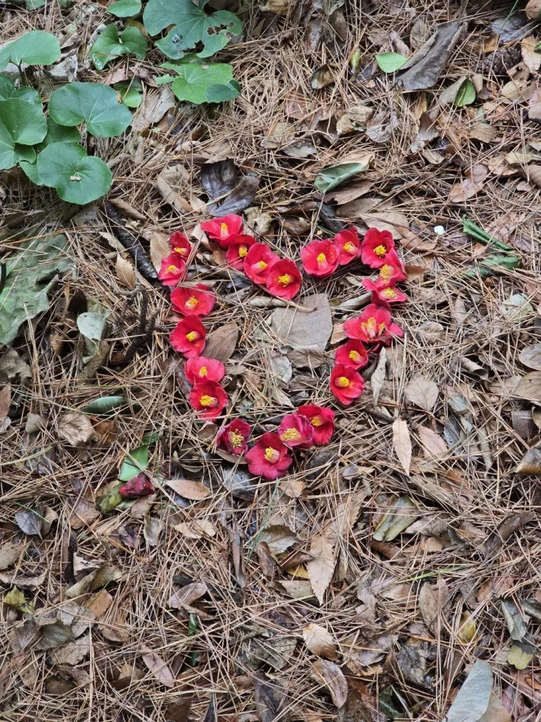 KakaoTalk_20250318_103705379_13.jpg?type=w773