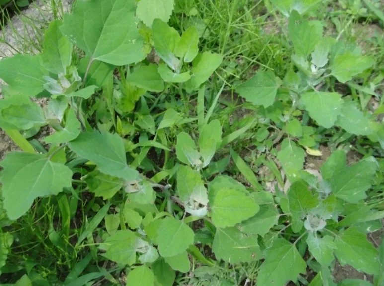 KakaoTalk_20250427_123712835.jpg?type=w773