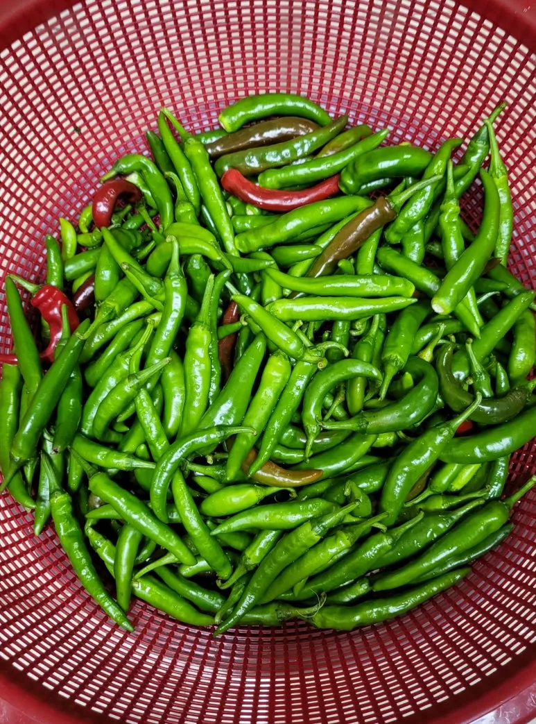 KakaoTalk_20240824_181858514.jpg?type=w773