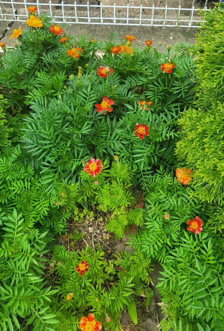 SE-db092f67-7be3-456b-aaae-12be7717007a.jpg?type=w773