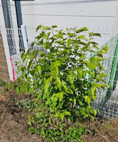 SE-9f579b08-0078-40a7-8ab2-9b1d8cc75394.jpg?type=w386