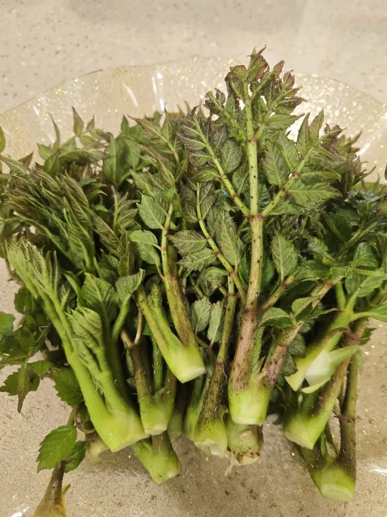 KakaoTalk_20250427_123918827_06.jpg?type=w773