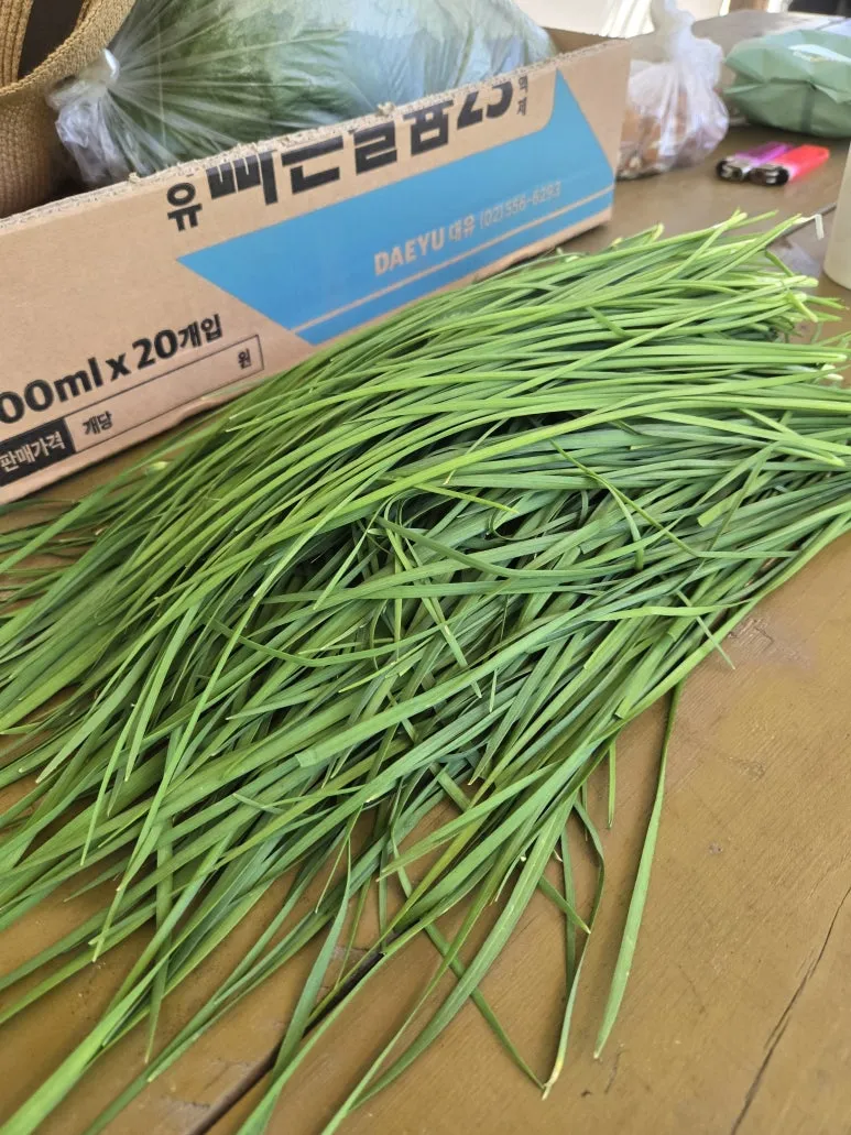 KakaoTalk_20250727_173346412_01.jpg?type=w773