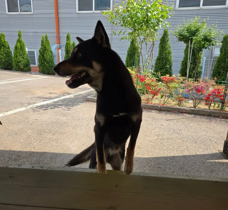 SE-d8033eee-2fed-42d2-afeb-0f6ea31b5f66.jpg?type=w773