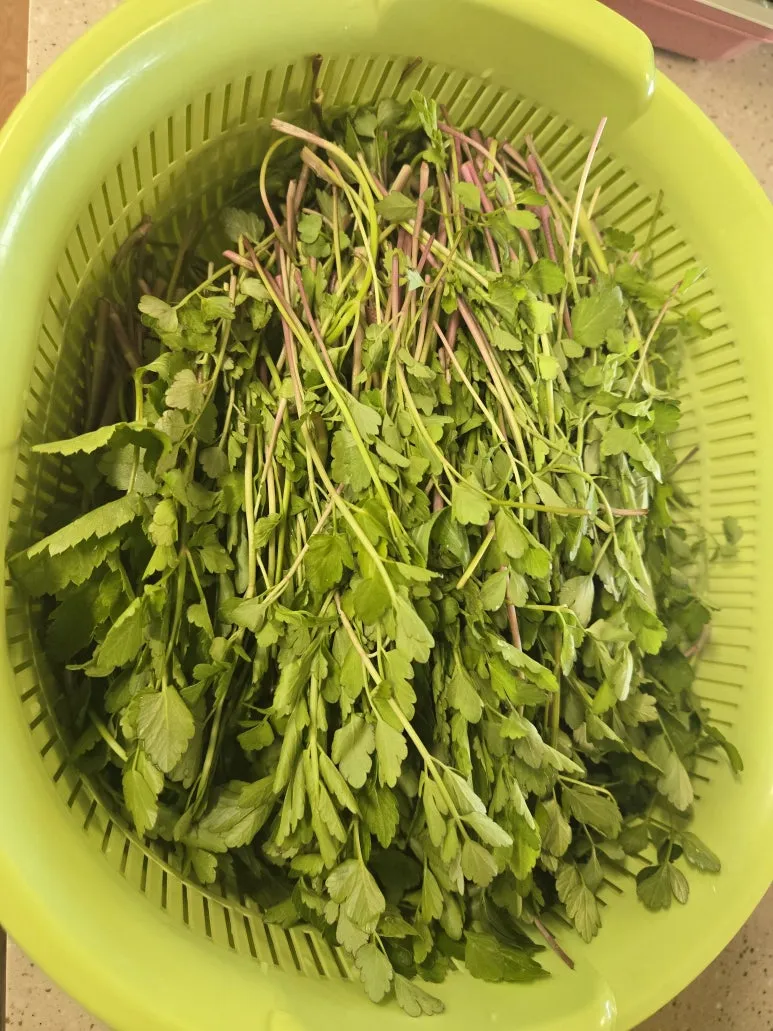 KakaoTalk_20250427_123712835_06.jpg?type=w773