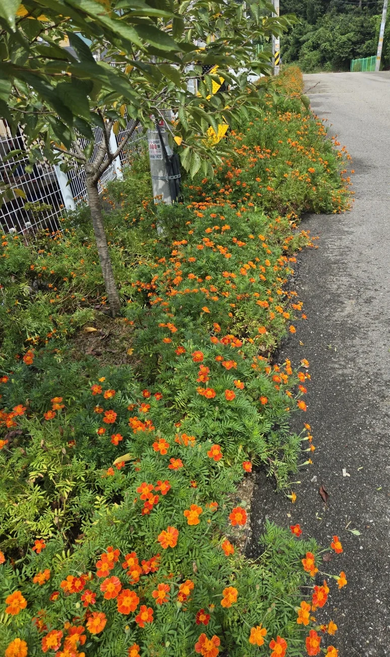 KakaoTalk_20240914_202202766_07.jpg?type=w773