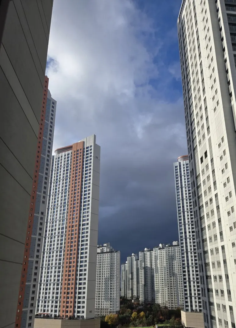 KakaoTalk_20241126_152712732.jpg?type=w773