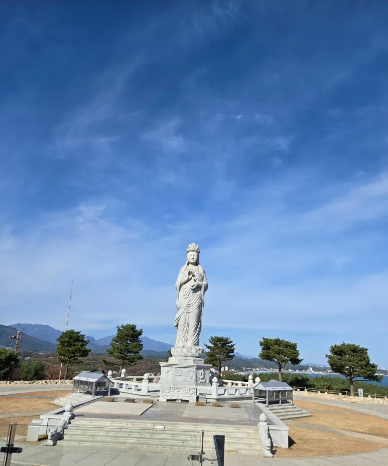 SE-4e5a725e-e73b-4585-87d9-b6e40cb72f46.jpg?type=w773