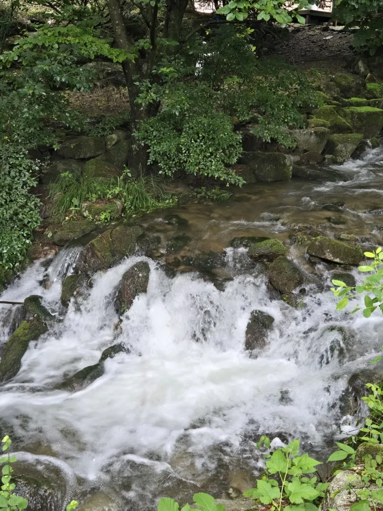 KakaoTalk_20250720_171445359_09.jpg?type=w773