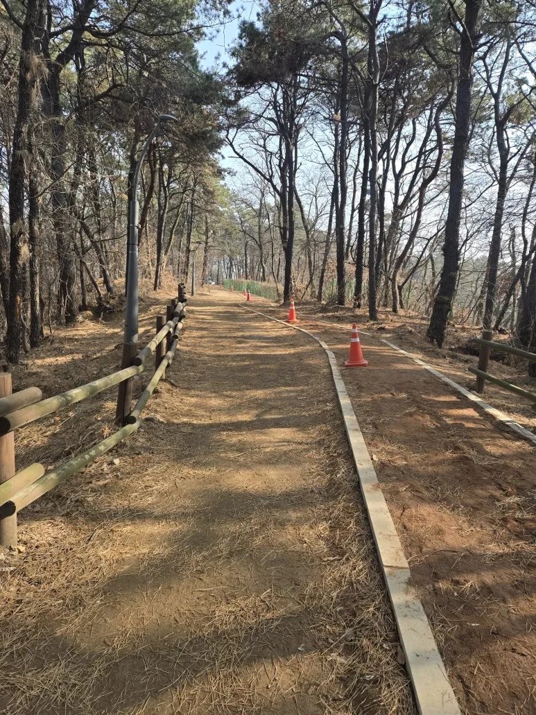 KakaoTalk_20260117_162442297_01.jpg?type=w773