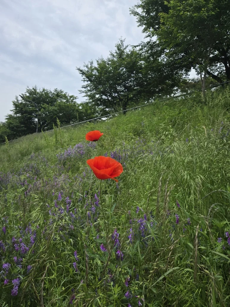 KakaoTalk_20250529_140215492_10.jpg?type=w773