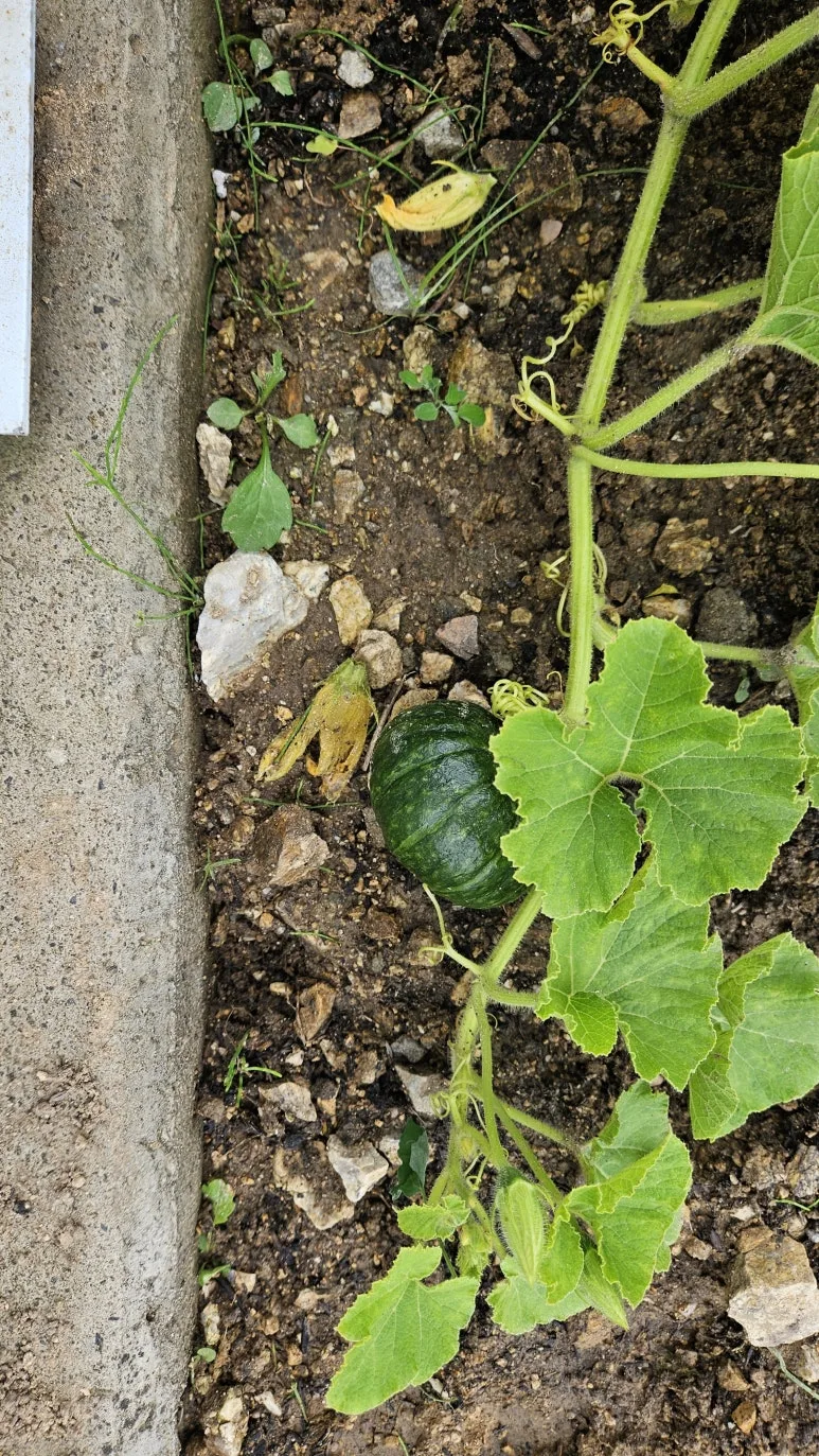 KakaoTalk_20240630_140727185_06.jpg?type=w773