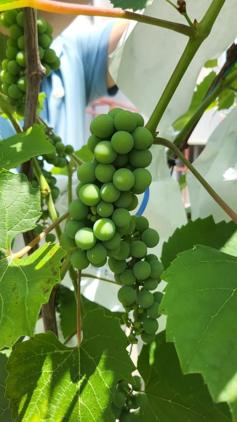 KakaoTalk_20240630_143321130_03.jpg?type=w773