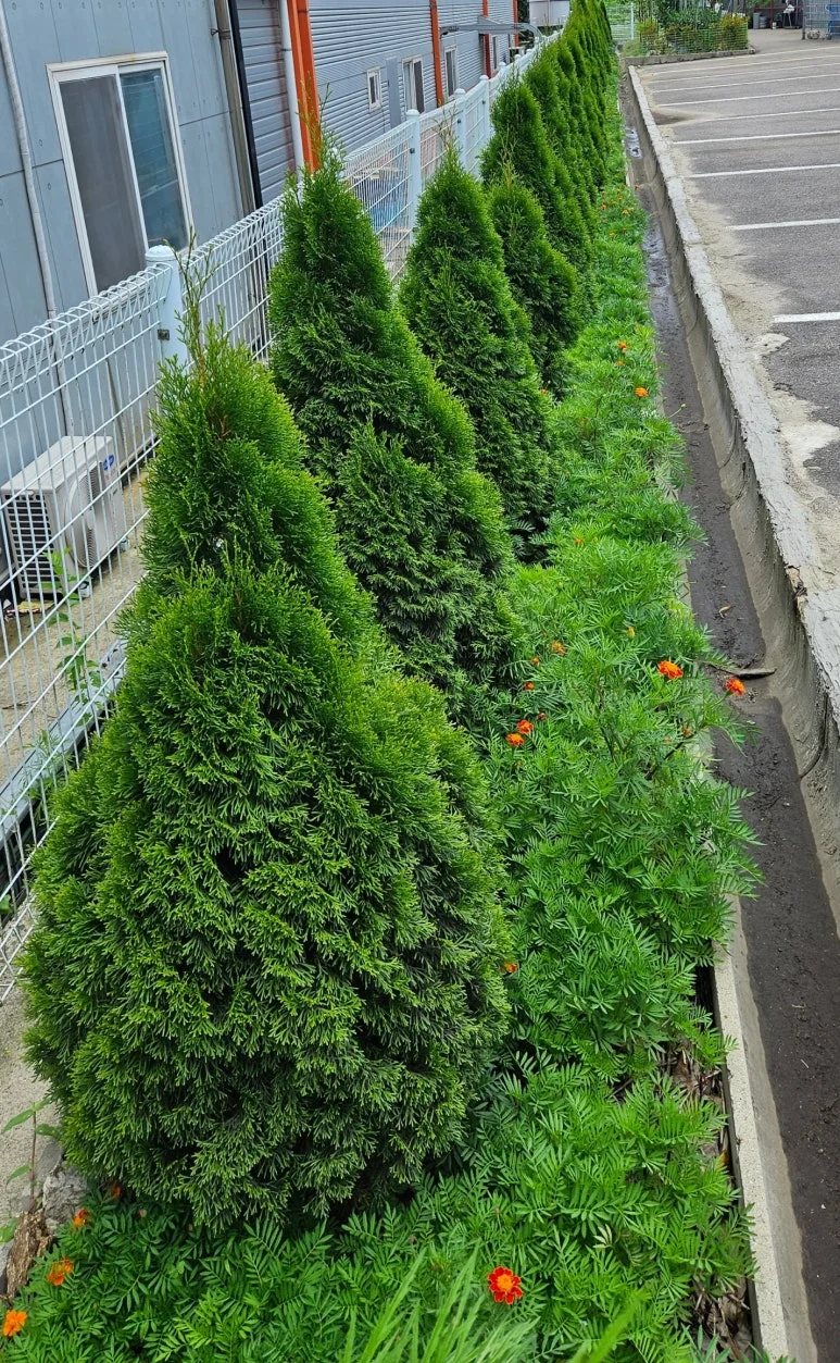 SE-b458e96c-15d6-4b5a-bf1e-9f86cd52994a.jpg?type=w773