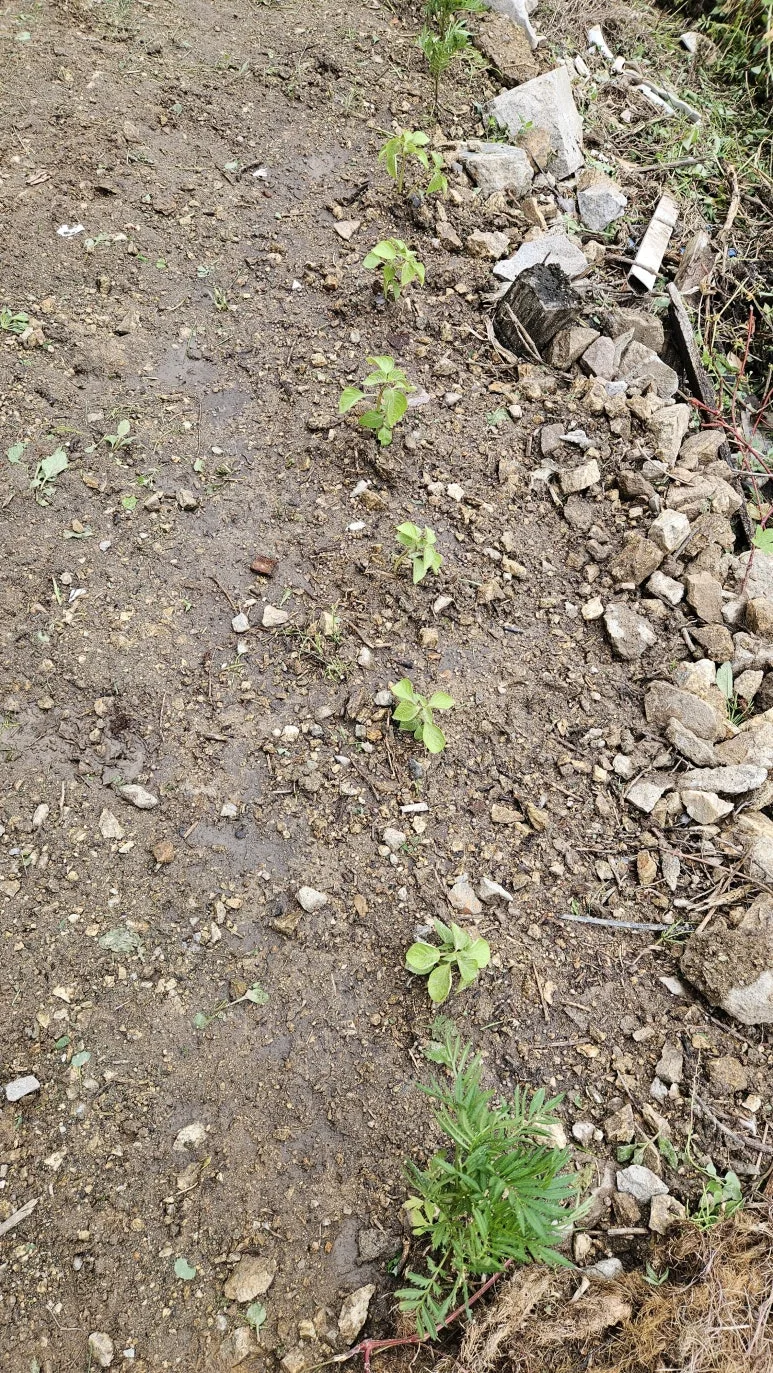 KakaoTalk_20240630_140727185_10.jpg?type=w773