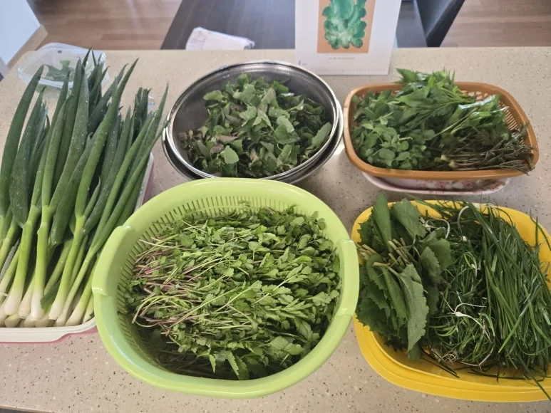 KakaoTalk_20250427_123712835_02.jpg?type=w773