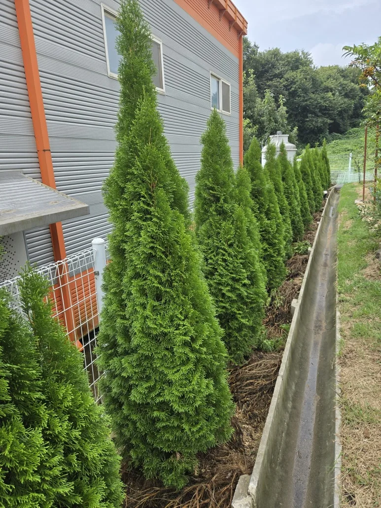 KakaoTalk_20240914_202202766_14.jpg?type=w773