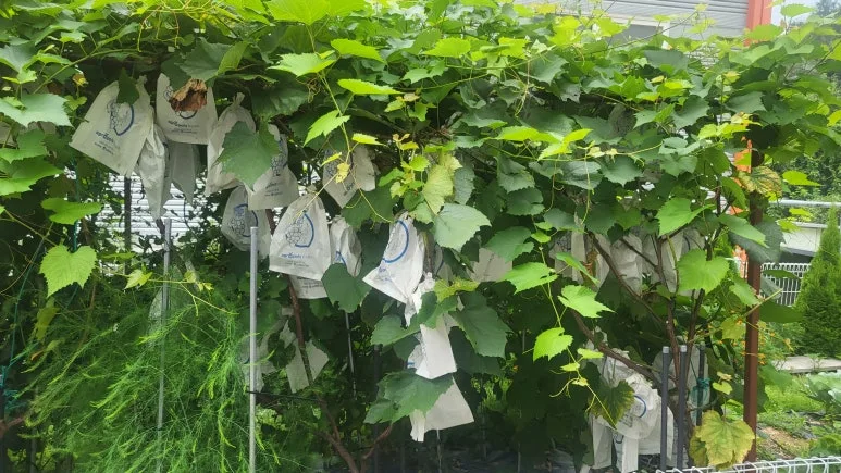 KakaoTalk_20240824_171833983.jpg?type=w773