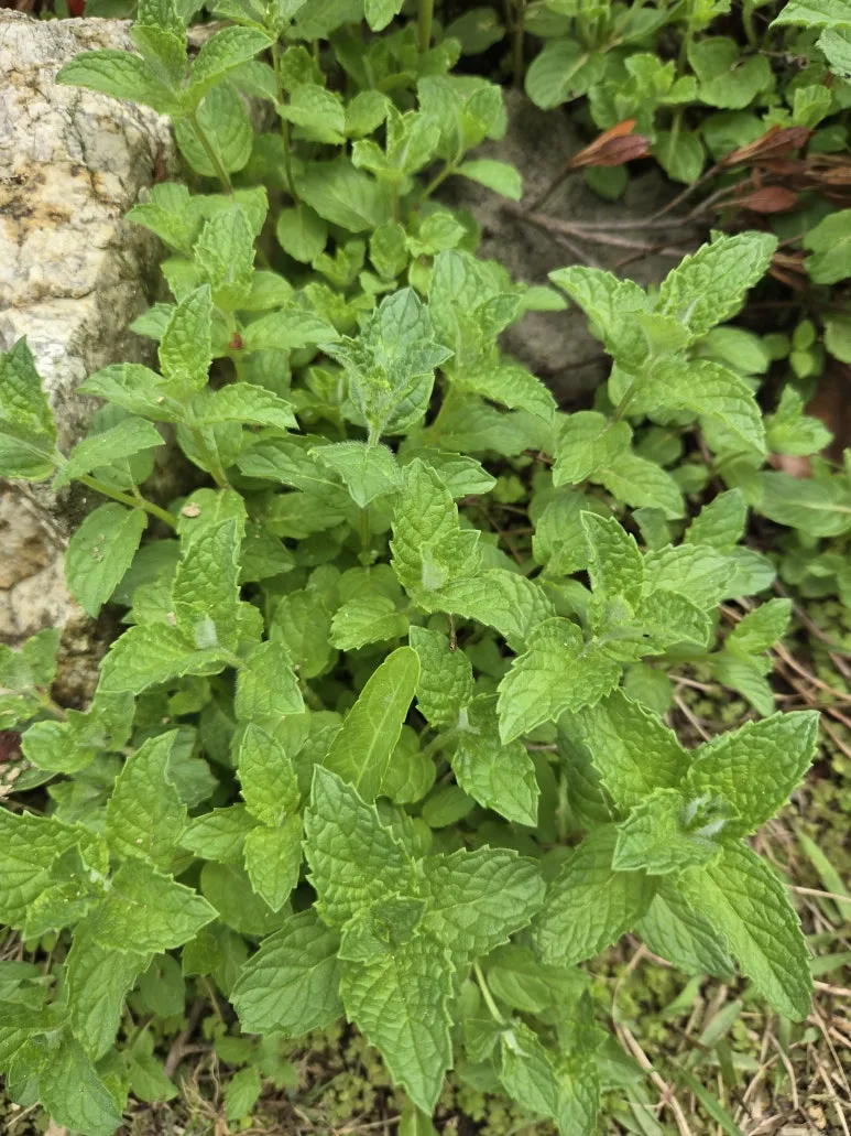 KakaoTalk_20250511_212312837_22.jpg?type=w773