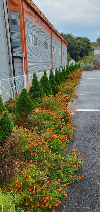 KakaoTalk_20240602_143638582.jpg?type=w386