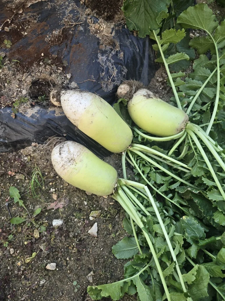 KakaoTalk_20251115_164541505_03.jpg?type=w773