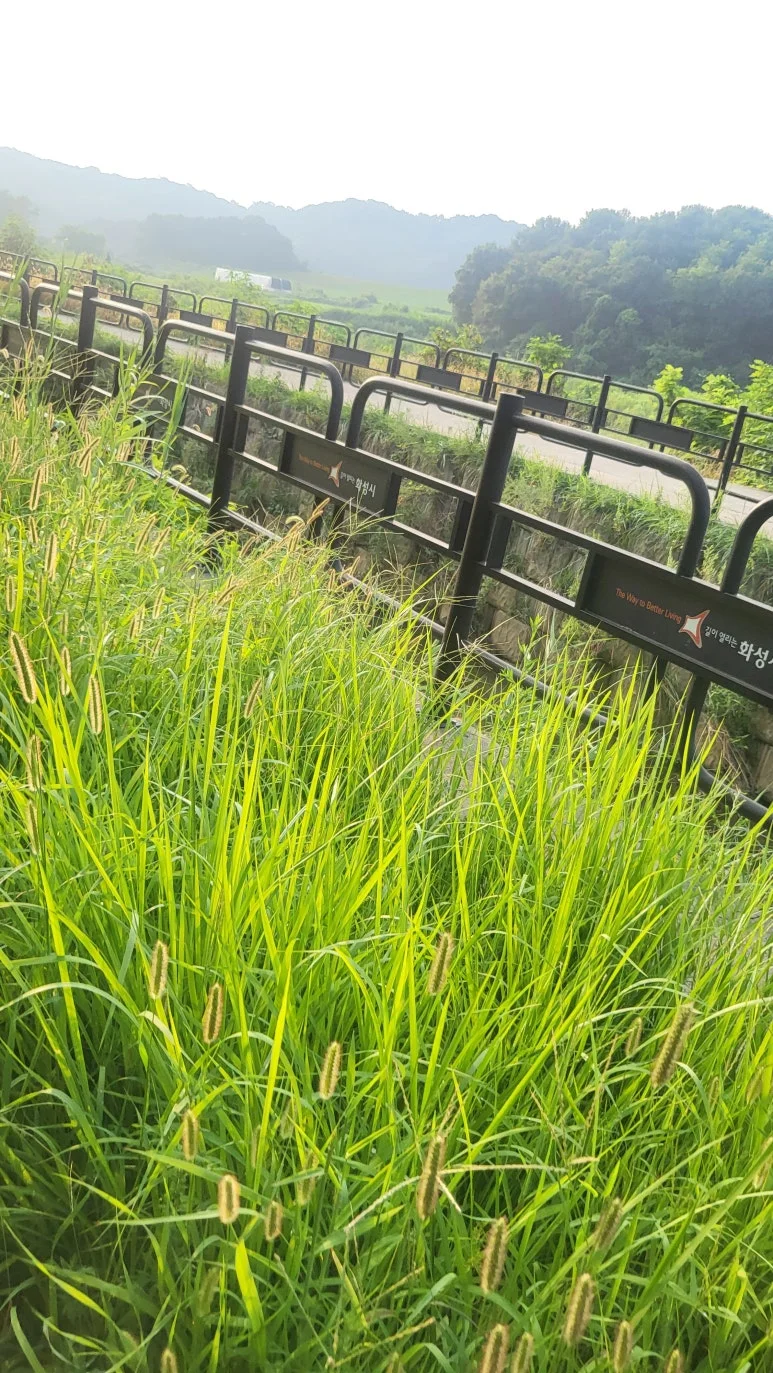 KakaoTalk_20240820_104910051_04.jpg?type=w773