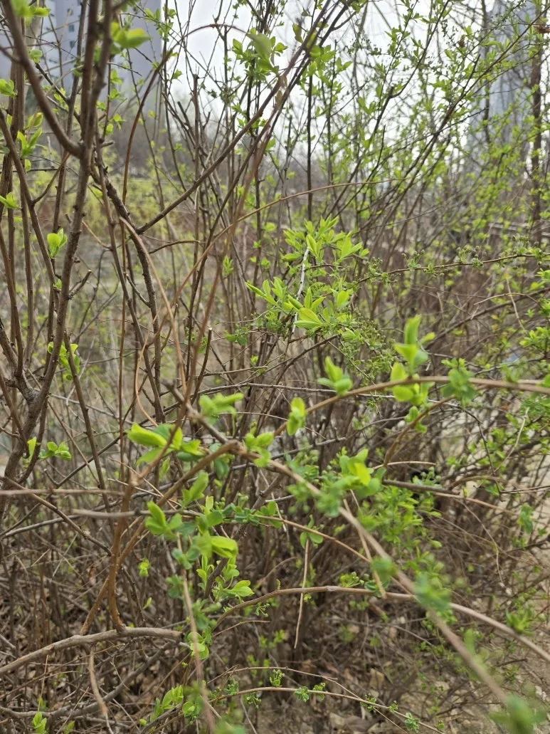 KakaoTalk_20250327_204226448_05.jpg?type=w773