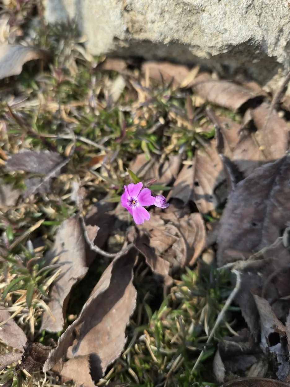 KakaoTalk_20250309_210655435_05.jpg?type=w1