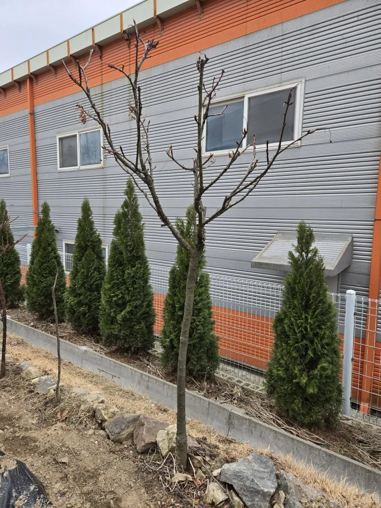 KakaoTalk_20250318_103705379_03.jpg?type=w773