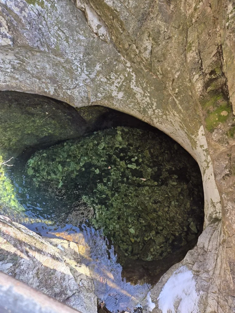 KakaoTalk_20250203_122046559.jpg?type=w773