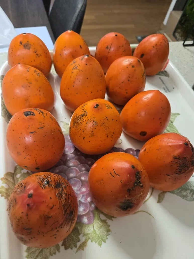 KakaoTalk_20251115_171835722_02.jpg?type=w773