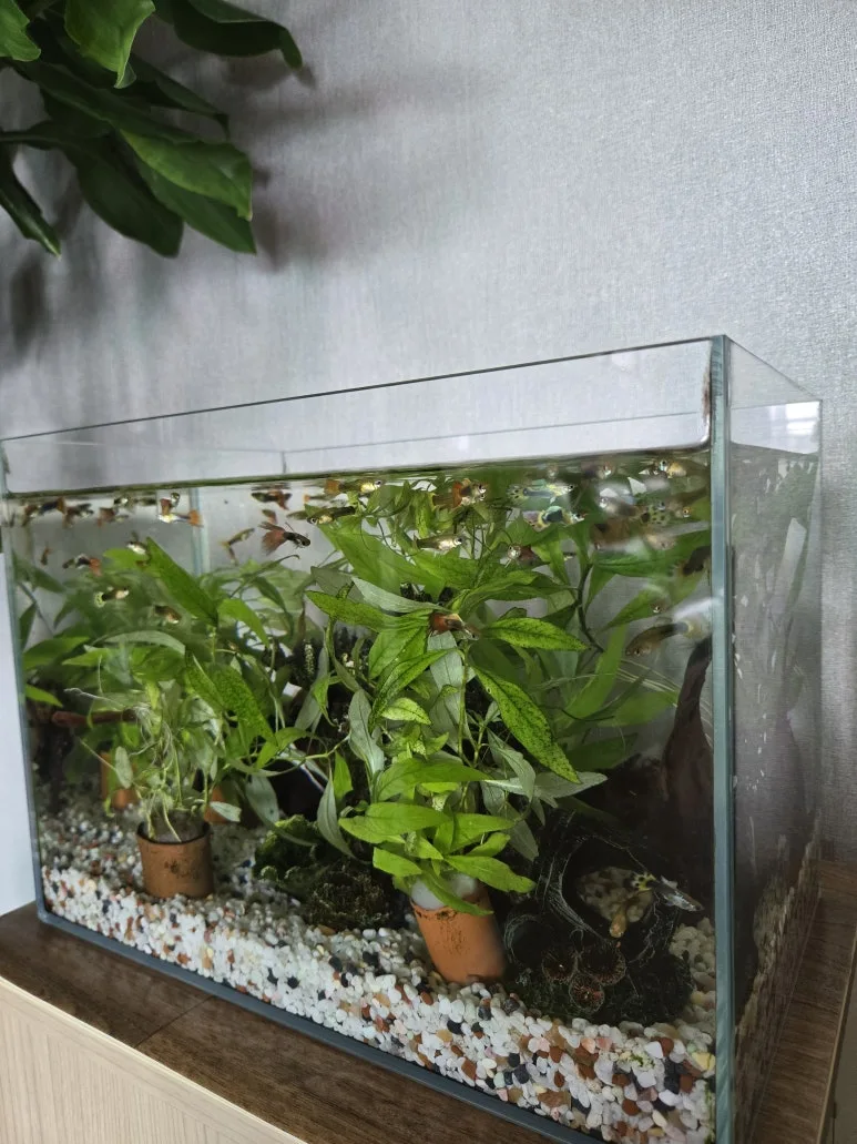 KakaoTalk_20250630_124659354_01.jpg?type=w773