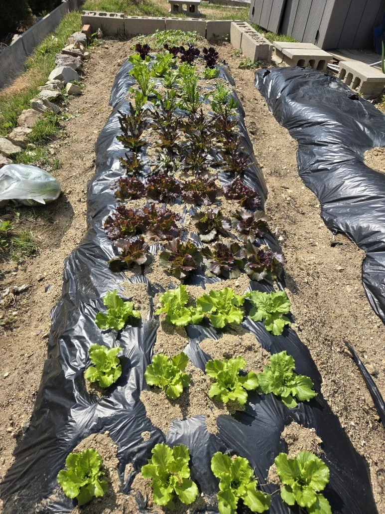 KakaoTalk_20250427_123712835_22.jpg?type=w773