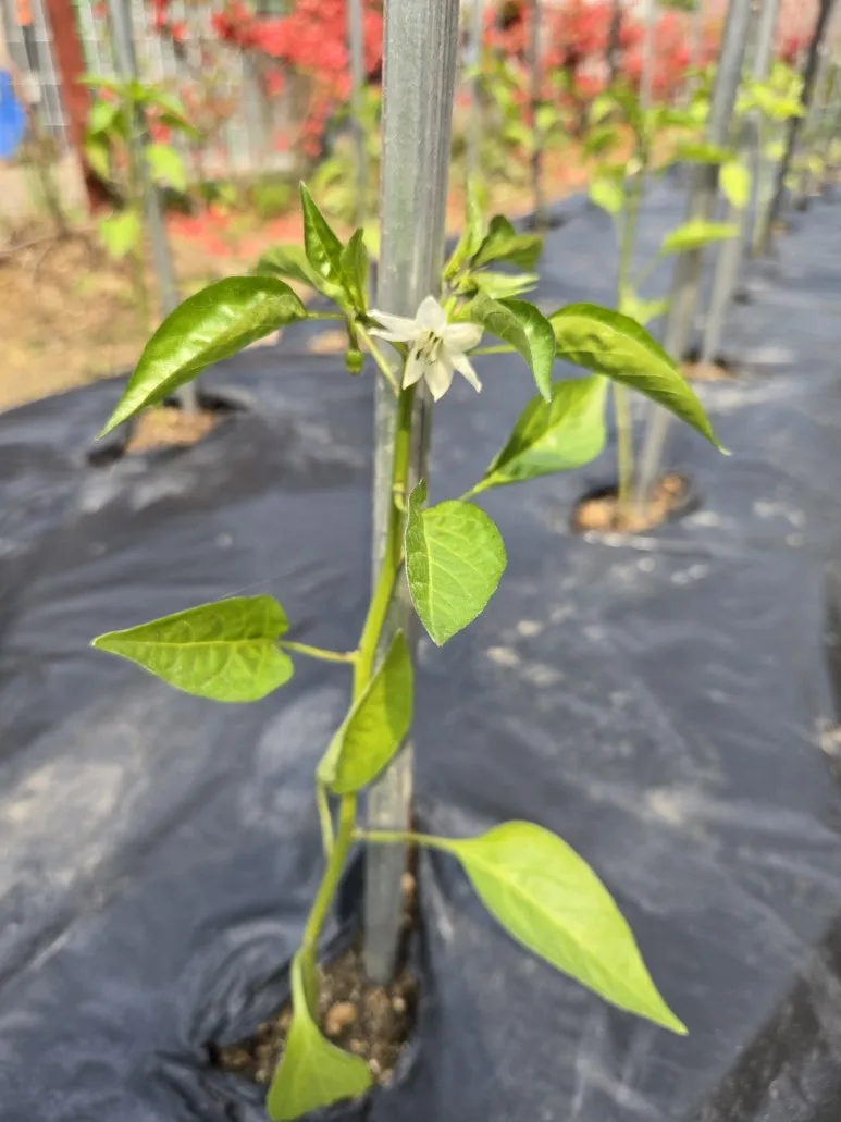 KakaoTalk_20250511_212312837_09.jpg?type=w773