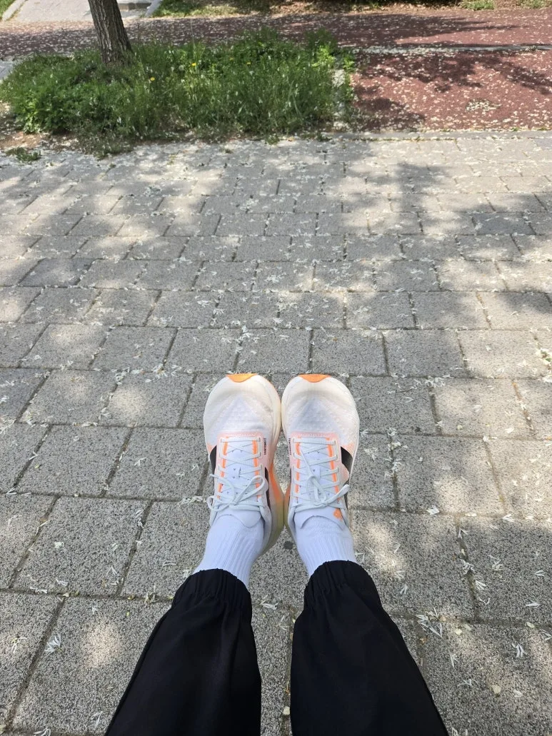 KakaoTalk_20250529_142706397.jpg?type=w773