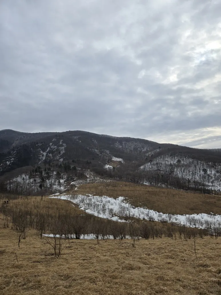 KakaoTalk_20250303_120338172_07.jpg?type=w773