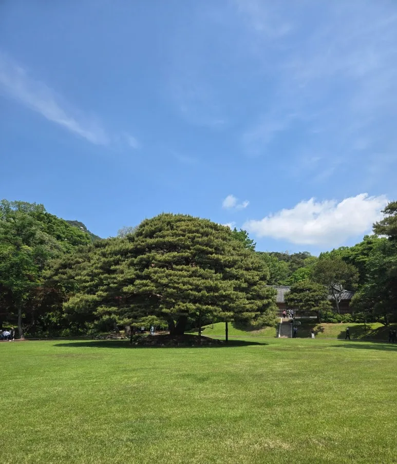 SE-1e28490b-c342-43c5-bf04-d5f2aa94cc0b.jpg?type=w773