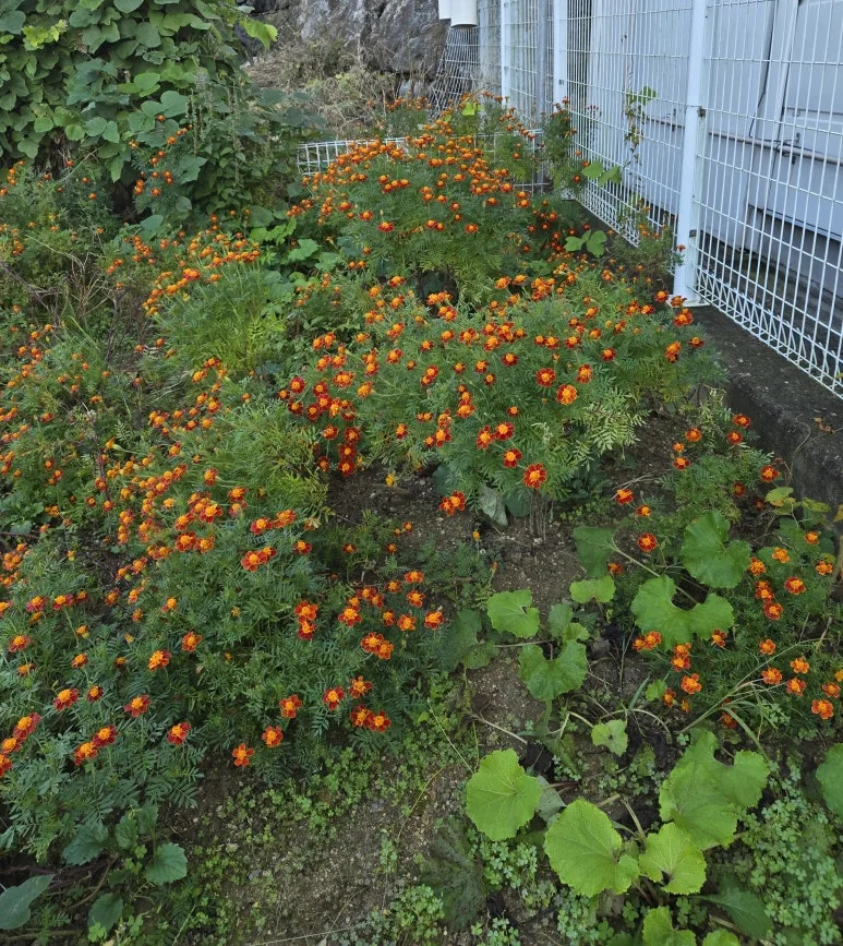 KakaoTalk_20251019_171322809_03.jpg?type=w773